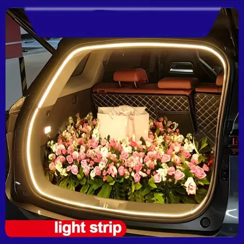 Tira LED Ambiente Premium para Auto - Iluminación 360° con App Control - Cervera Studio